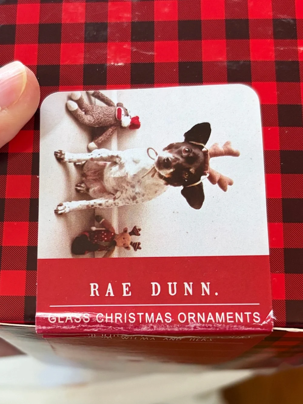 Rae Dunn “Best Friend” Set of Two Dog-Themed Glass Ornaments NWT